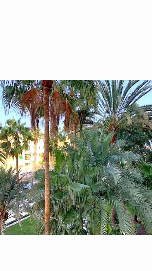 Maspalomas Del Mar San Bartolomé Kültér fotó